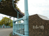 soǧÉꐭj搶̉e炢ċł