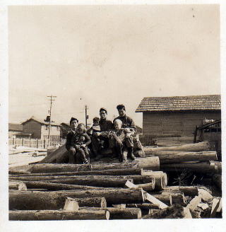 I̎dԂ̂ƁAAJR̎qBłB